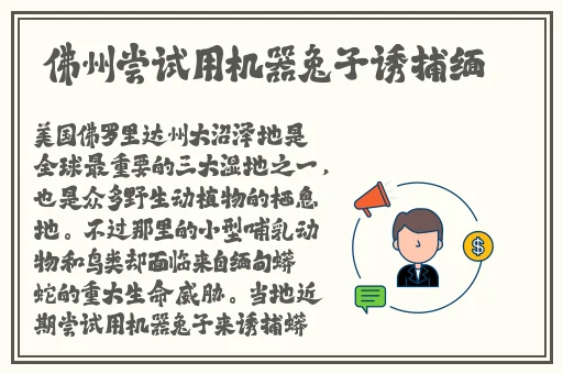 听着下面会湿的声音